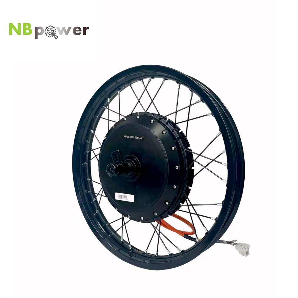 Ruota Posteriore con Motore NB - Qs Motor 273 8000W Hub Motor recensione e prezzo
