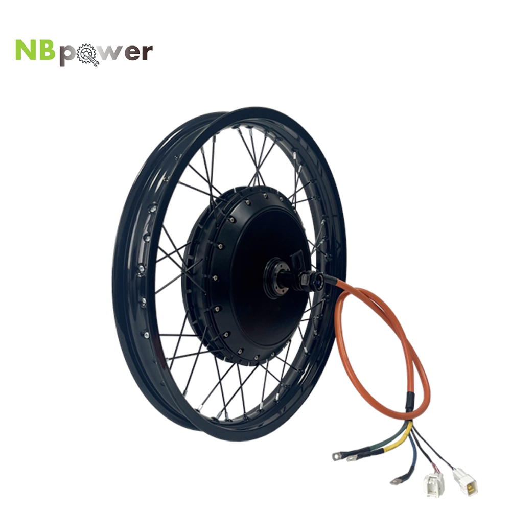 Ruota Posteriore con Motore NB - Qs Motor 273 8000W Hub Motor recensione e prezzo